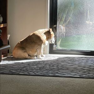 Meet your Posher, Ann-louise